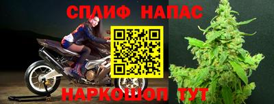 СК Краснодар