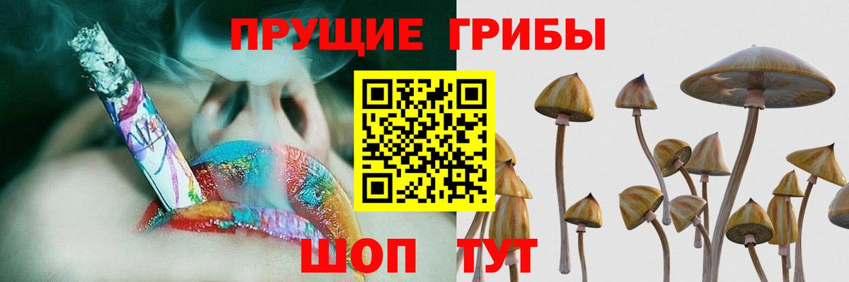 Киселёвск  Псилоцибиновые грибы Magic Shrooms  Вход с VPN 